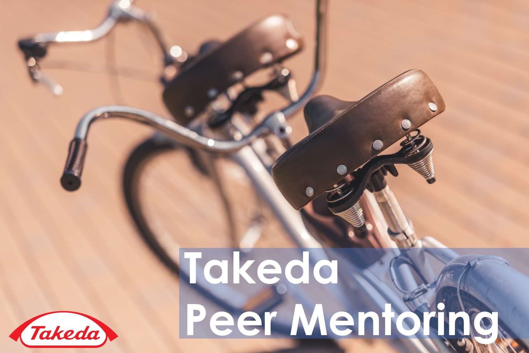 Takeda Peer Mentoring